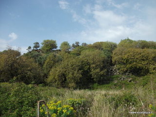 zzena-07-04-2013 08-48-29